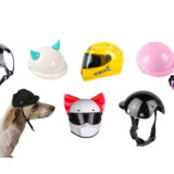 定番人気の「犬用ヘルメット」・おすすめ8選（バイク・柴犬・大型犬）