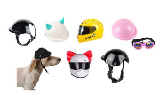 【2023年最新】定番人気の「犬用ヘルメット」・おすすめ8選（バイク・柴犬・大型犬）