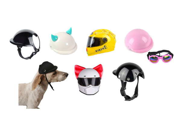 定番人気の「犬用ヘルメット」・おすすめ8選（バイク・柴犬・大型犬）